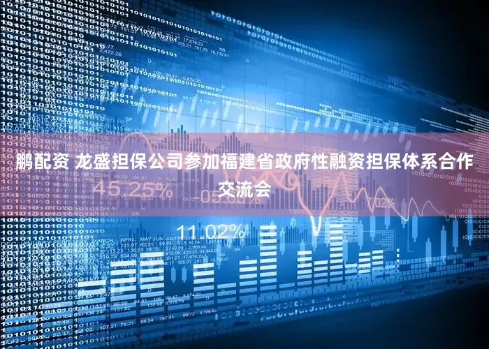 鹏配资 龙盛担保公司参加福建省政府性融资担保体系合作交流会