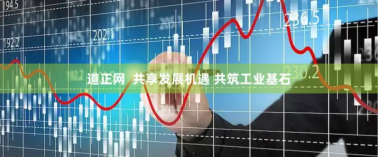 道正网  共享发展机遇 共筑工业基石