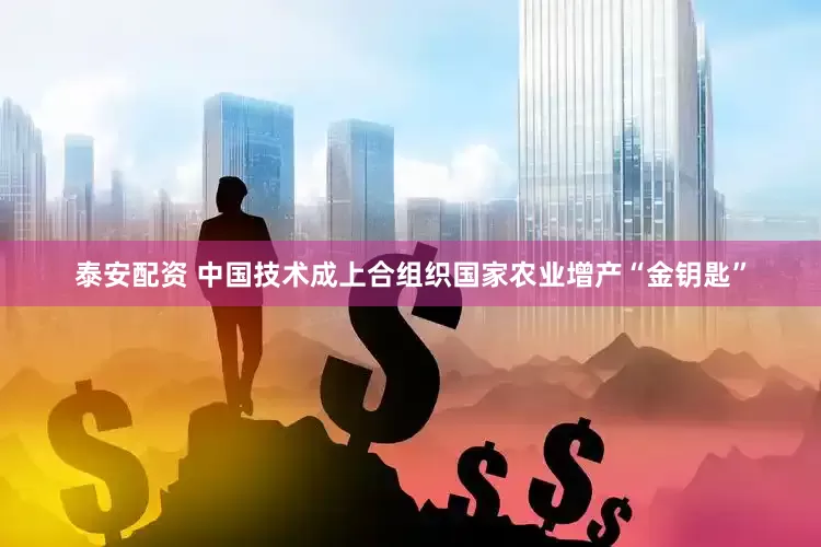 泰安配资 中国技术成上合组织国家农业增产“金钥匙”